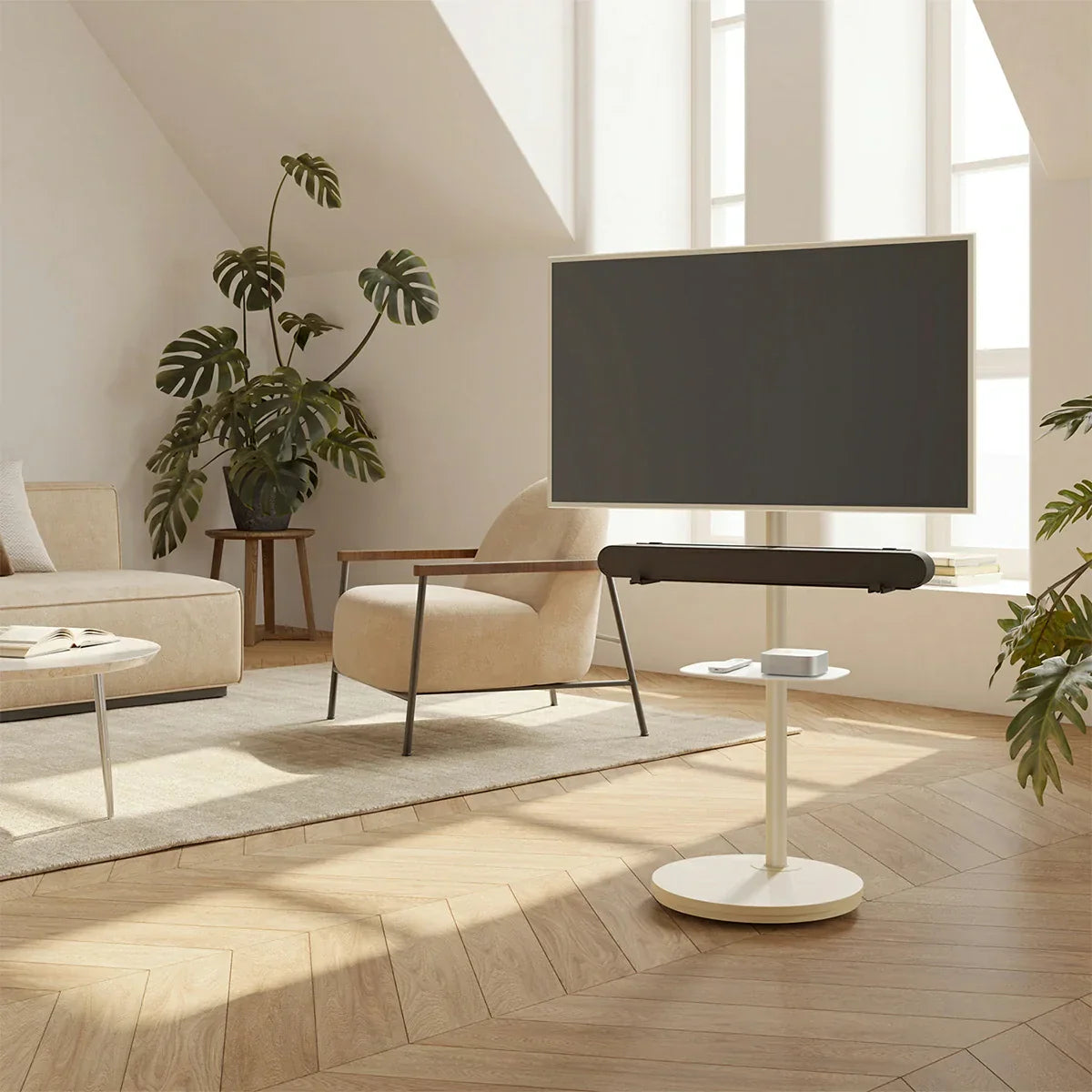 TV stands with storage