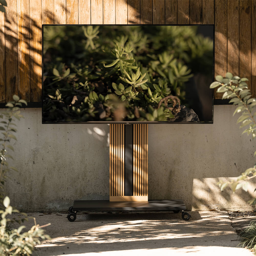 zen television series