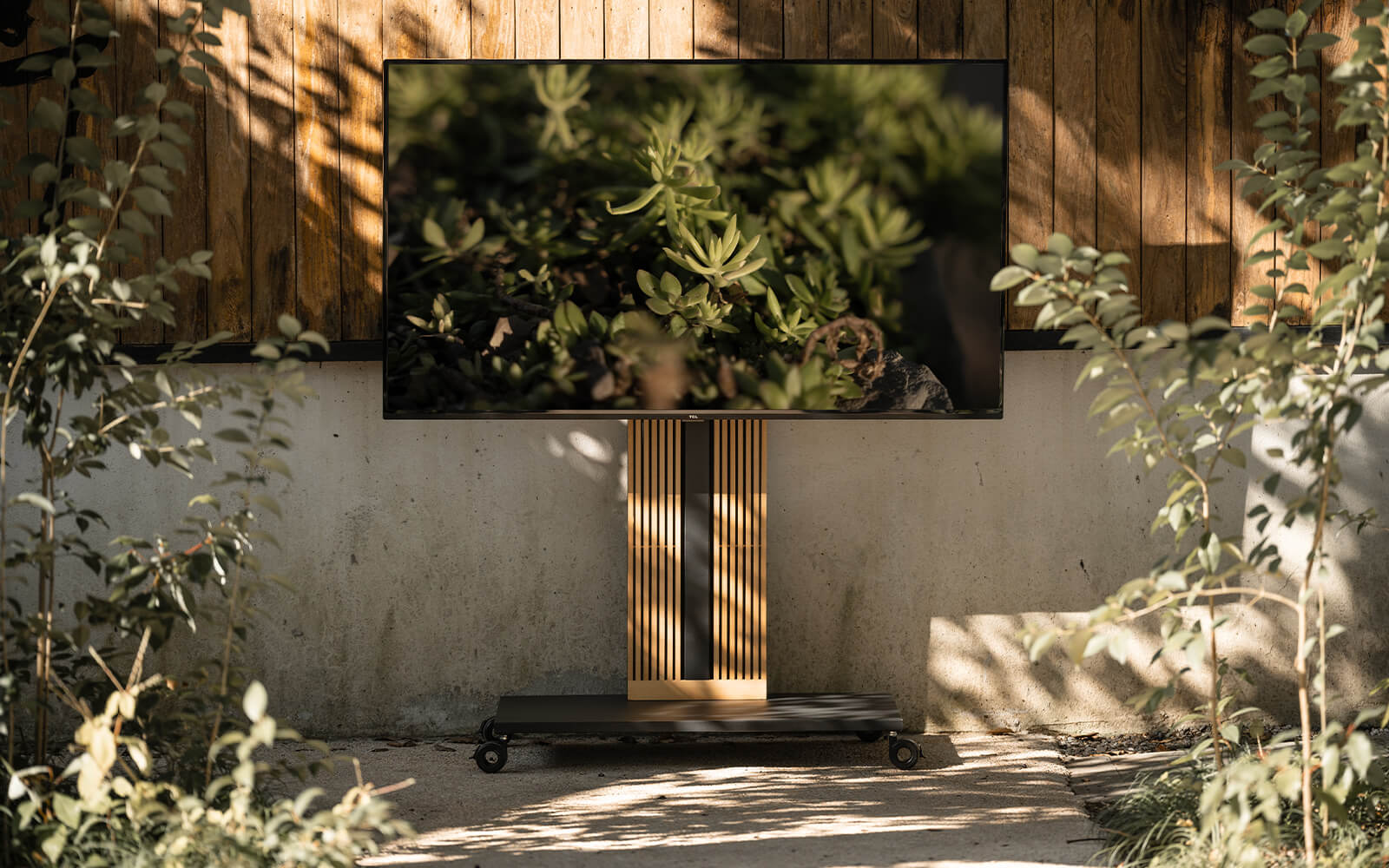 zen television series