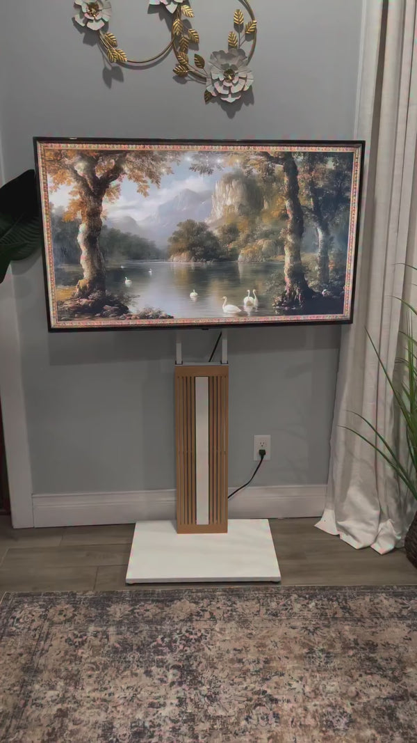 ZEN FT65 @ourdreamhome2020